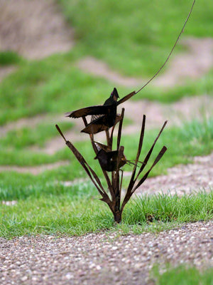 Grouse in the ground