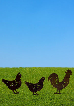 Metal Chickens