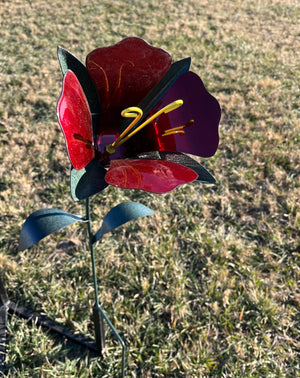Trumpet Flower Baby