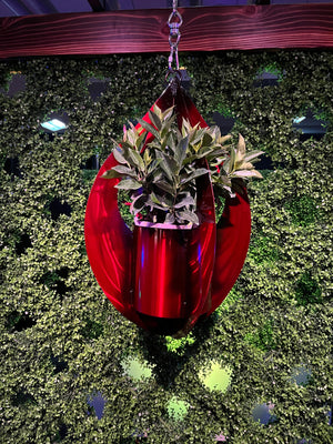 Hanging planter