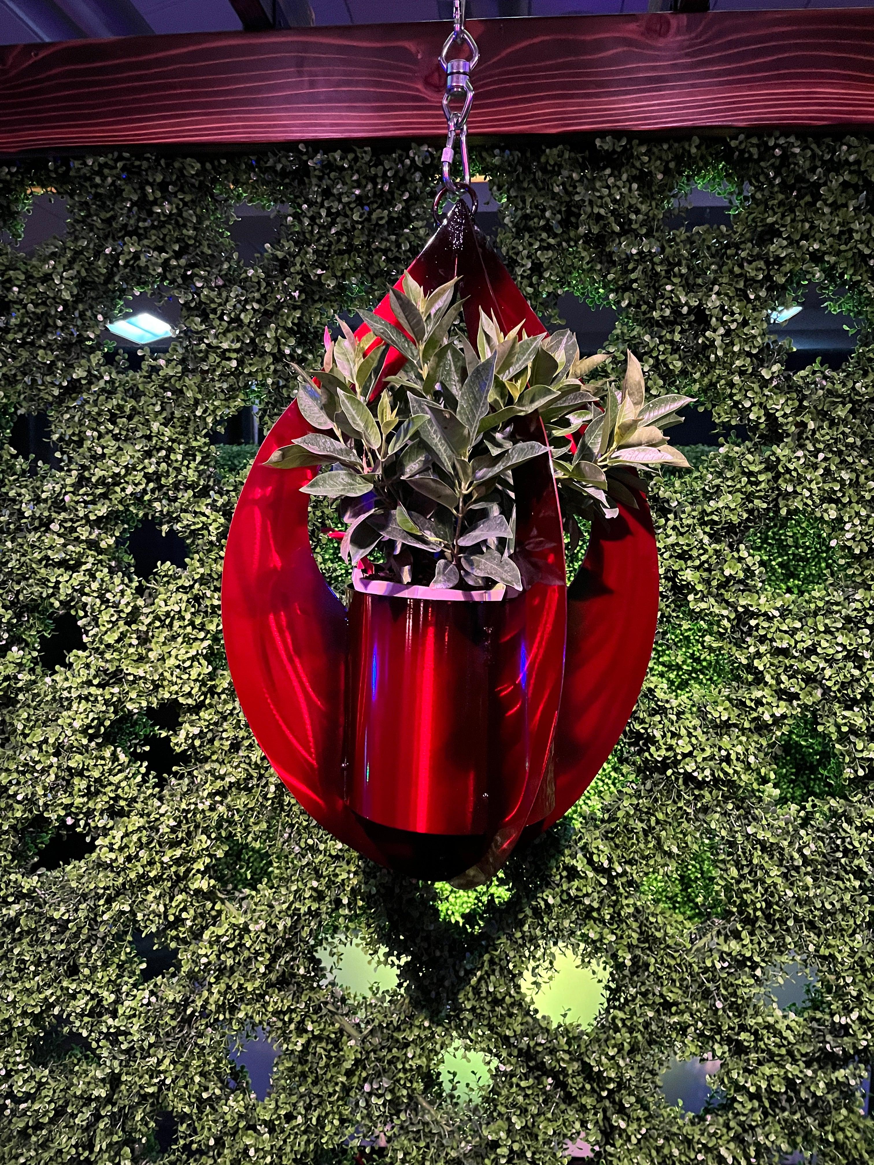 Hanging planter