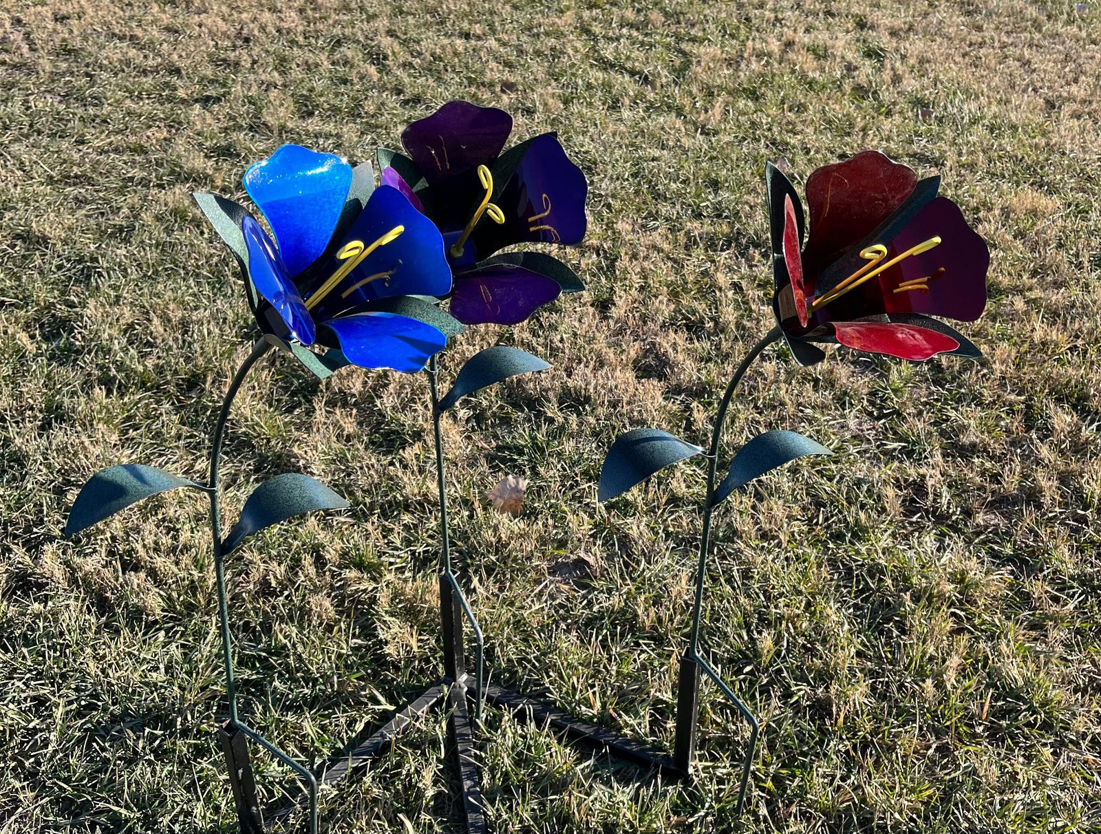 Trumpet Flower Baby