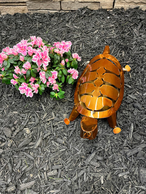 Metal Turtle
