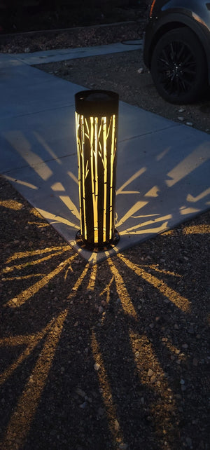 Tall Luminary Birch Trees