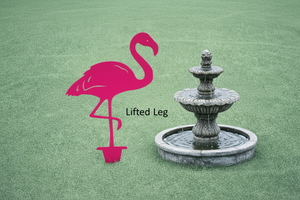 single lifted leg flamingo