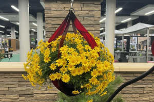 Hanging swivel planter