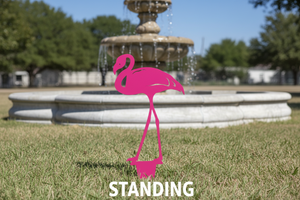 single standing flamingo