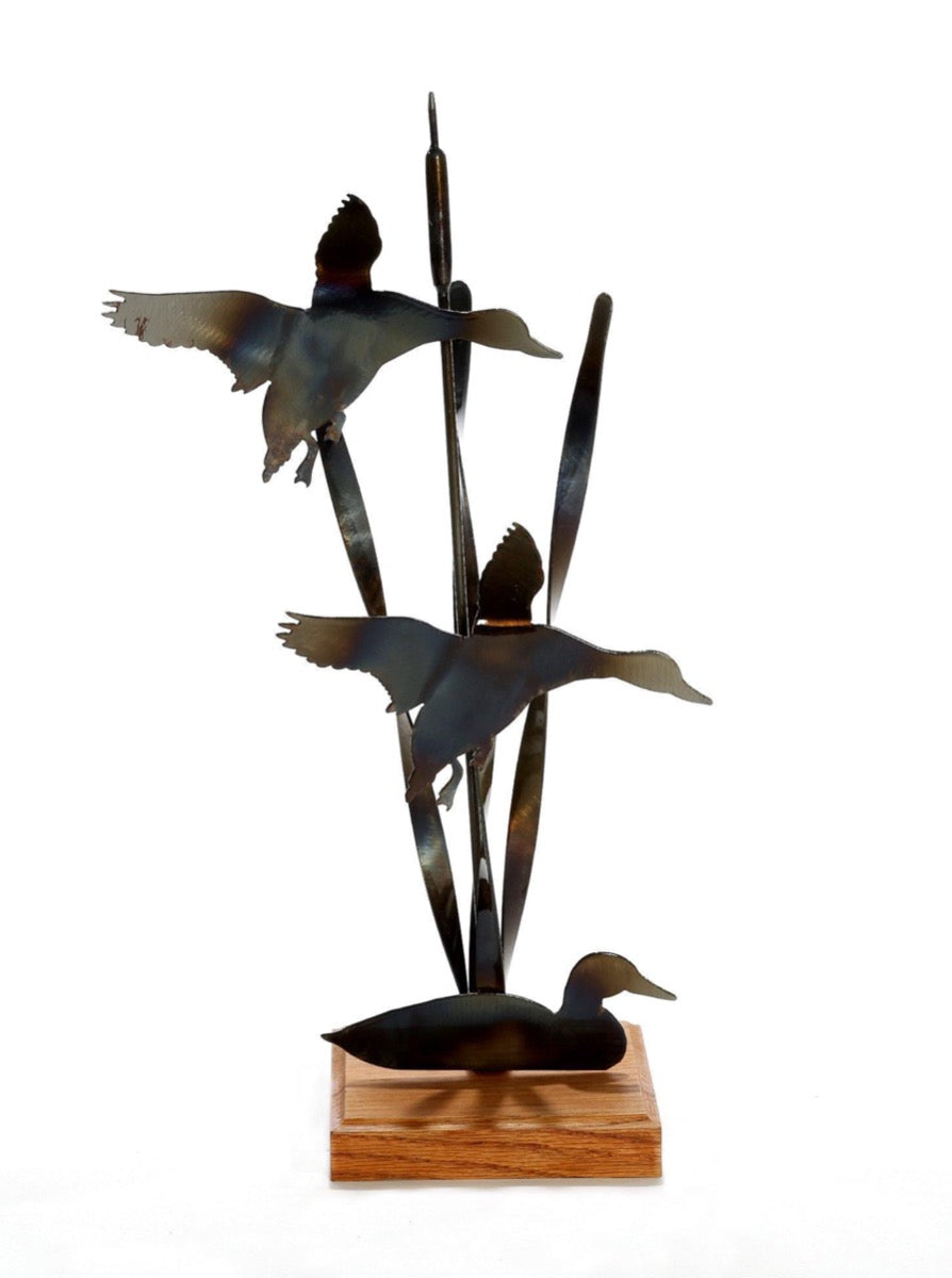 Ducks Landing Desktop - LoneTree Designs